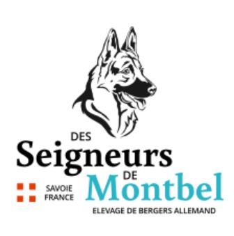 Des seigneurs de montbel - Nous sommes désormais sur Instagram 